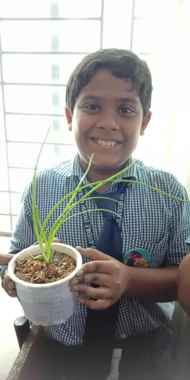 Juvenile English Medium School